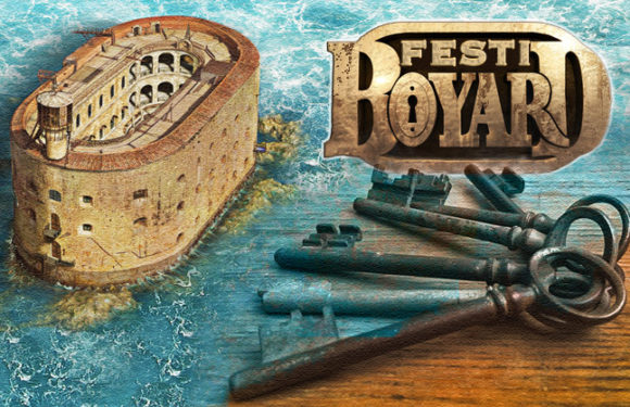 Festi Boyard