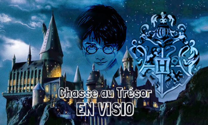 Harry Potter et le secret de Poudlard (visio)💻